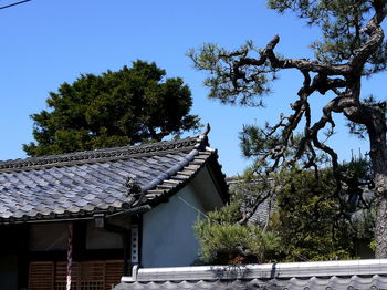 House against trees against clear sky