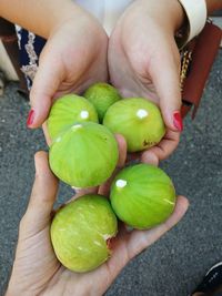 High angle view of hand holding fruit