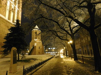 Street light along trees