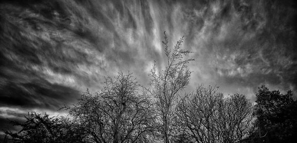 Low angle view of trees against cloudy sky