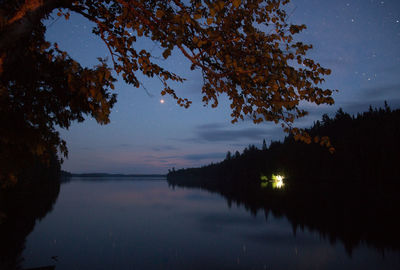 Silhouette trees by lake against sky at night