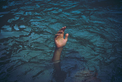 High angle view of person hand in lake