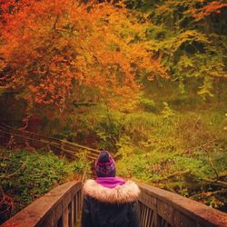 Rear view of woman sitting by autumn tree