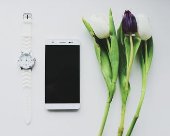 Close-up of white flowers over white background