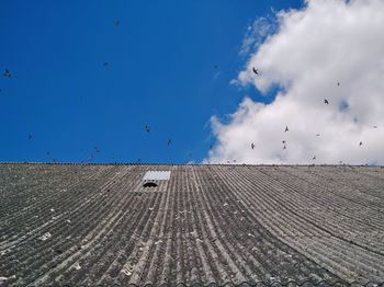 Seagulls flying over roof against blue sky