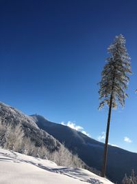 Scenic view of snowcapped mountains against clear blue sky