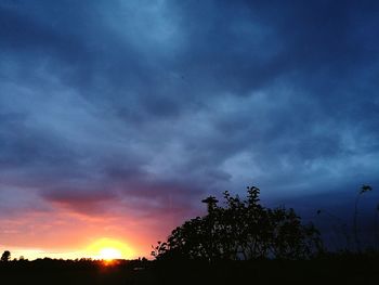 Silhouette trees against cloudy sky during sunset