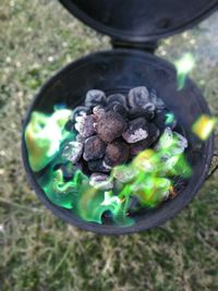 High angle view of green leaves