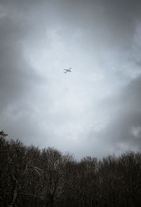 Low angle view of airplane flying in sky