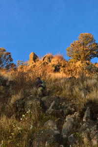 Rear view of people climbing on mountain