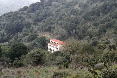 High angle view of trees and plants on mountain