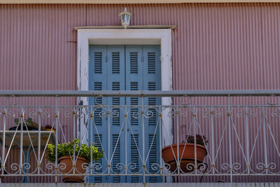 Potted plants on window of building