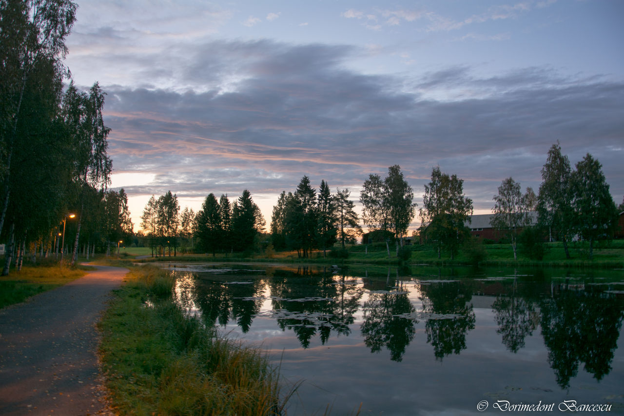 SCENIC VIEW OF LAKE BY TREES AGAINST SKY