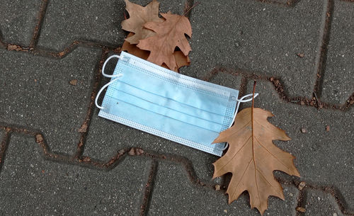 High angle view of dry leaves on street