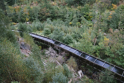 High angle view of train amidst trees