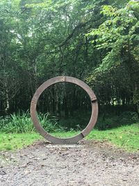 View of trees in park