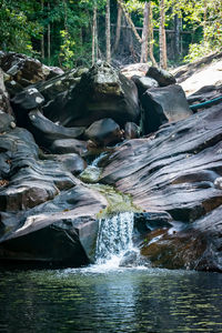 Scenic view of waterfall in forest