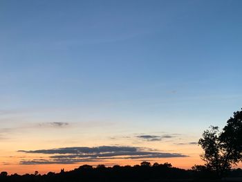 Silhouette trees against sky during sunset