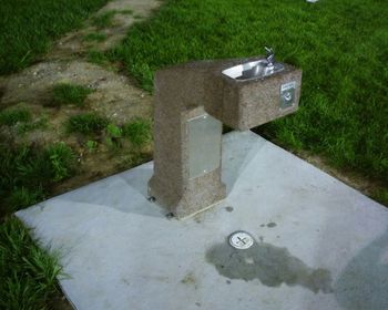 View of grassy field