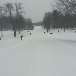 Snow covered landscape