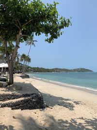 Scenic view of beach against clear sky