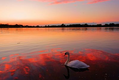 Scenic view of lake at sunset