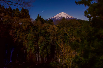 Low angle view of trees on mountain