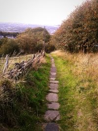 Narrow pathway along trees