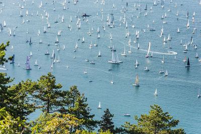 High angle view of sailboats in sea