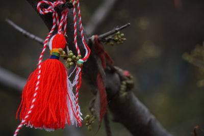 Close-up of multi colored rope hanging outdoors