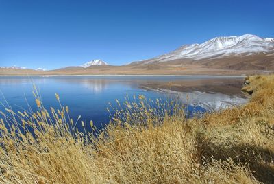 Scenic view of lake and mountains against clear blue sky