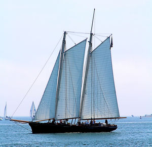 Sailboat sailing on sea against clear sky