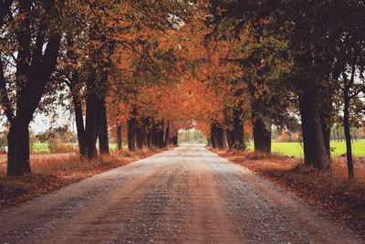 Road amidst trees during autumn