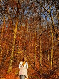 Shadow of woman on tree during autumn