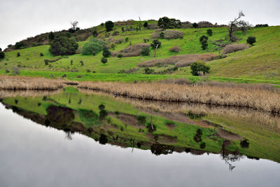 Scenic view of landscape against sky