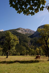 Scenic view of trees on field against mountains