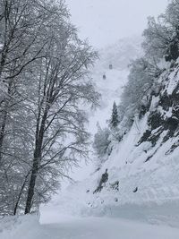 Scenic view of snow covered land and trees against sky