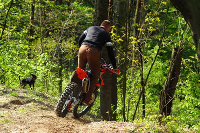 Rear view of man riding bicycle in forest