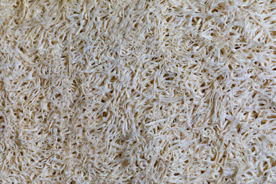 Full frame shot of rice