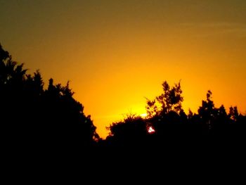 Silhouette trees against orange sky