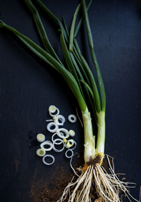 High angle view of food on table