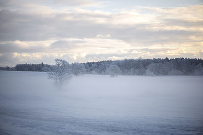 Scenic view of snow covered and misty landscape against sky