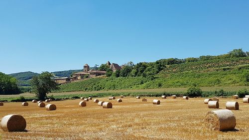 Hay bales on field against clear sky