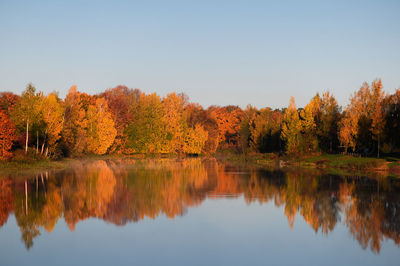 Scenic view of lake against clear sky during autumn