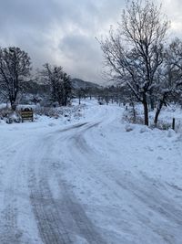 Snow covered road by bare trees against sky