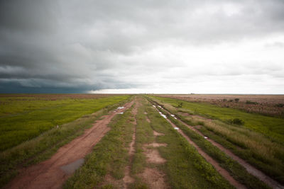 Scenic view of agricultural field against sky