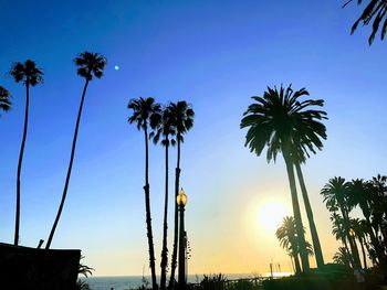 Low angle view of silhouette coconut palm trees against sky during sunset