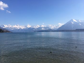 Scenic view of sea and snowcapped mountains against blue sky