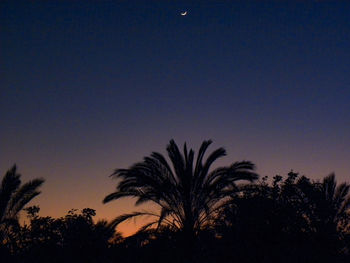 Low angle view of silhouette palm trees against blue sky