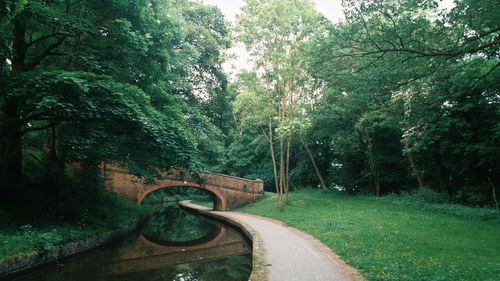 Road amidst trees in forest